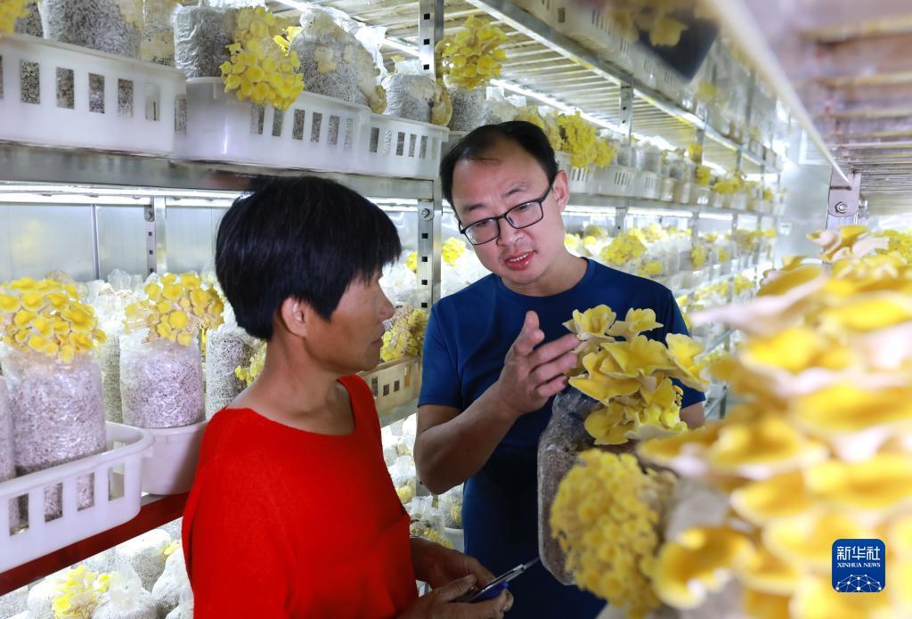 新莆京官方网站782